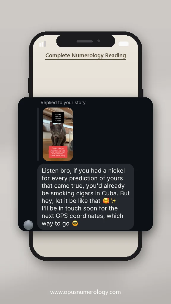 Client review of an Opus numerology reading (message screenshot) – 14 / 38