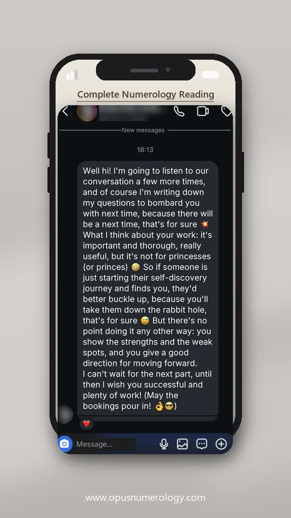 Client review of an Opus numerology reading (message screenshot) – 17 / 38