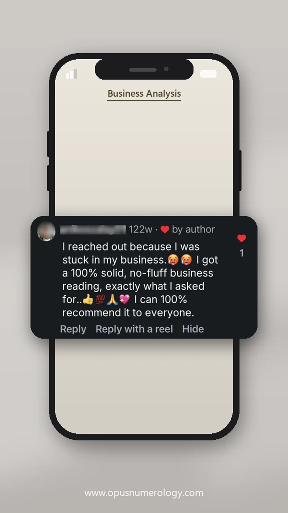 Client review of an Opus numerology reading (message screenshot) – 21 / 38