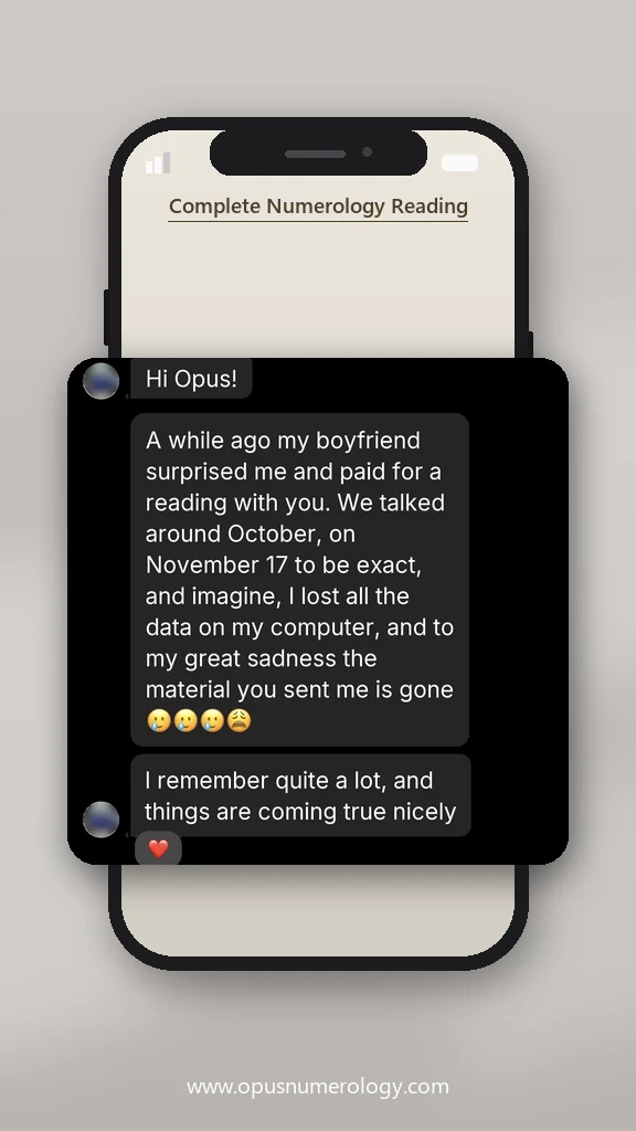 Client review of an Opus numerology reading (message screenshot) – 25 / 38