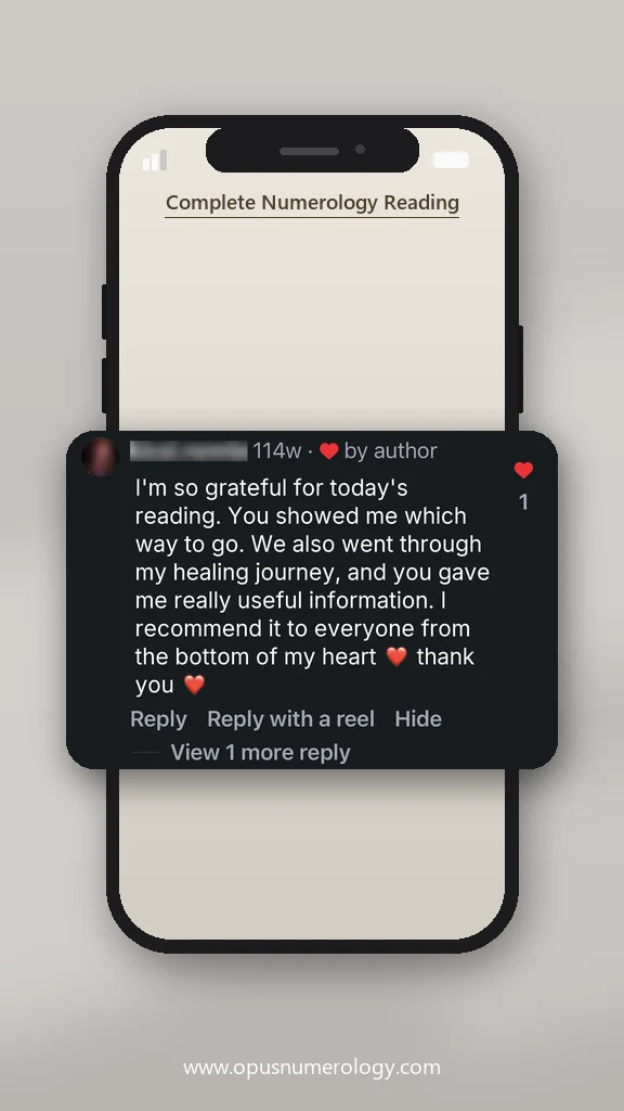 Client review of an Opus numerology reading (message screenshot) – 38 / 38